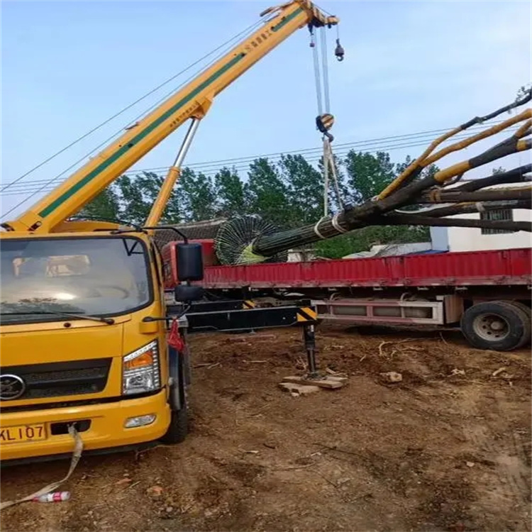 荆州100吨吊车租赁费用怎么算？3大关键因素+省钱技巧全解析